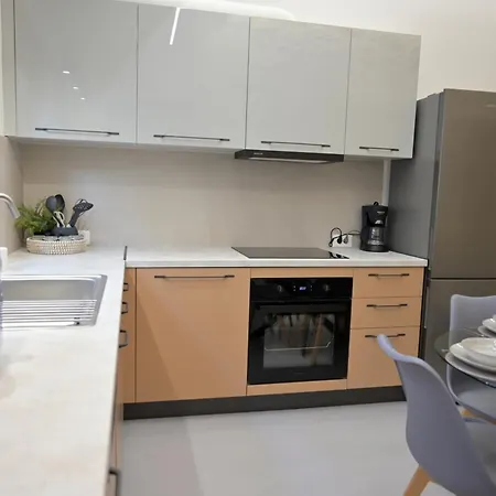 度假居 Silver Luxury Chania Center 干尼亞